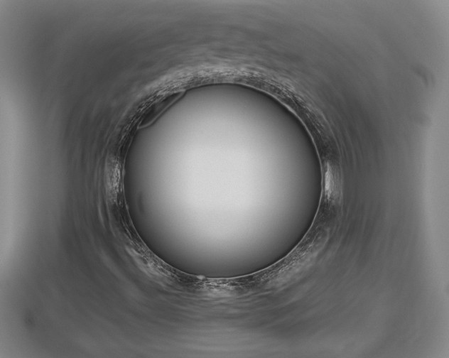 X0000112791492200908281455