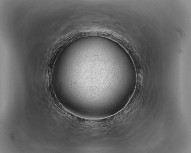 X0000112791493200908281455