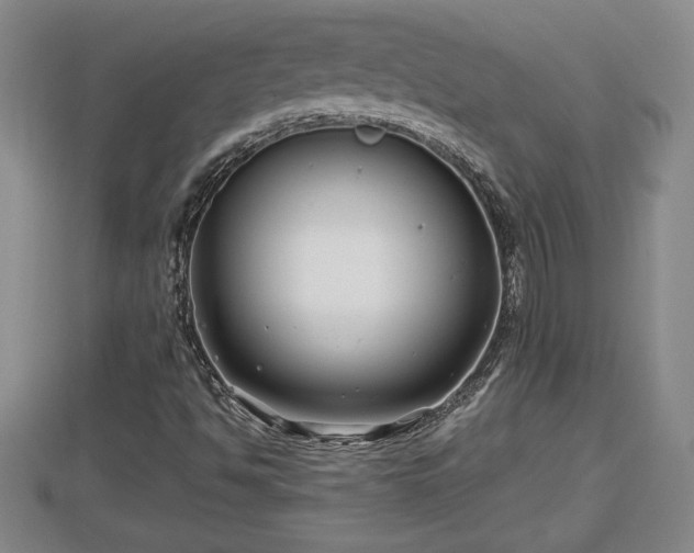 X0000112791494200908281455