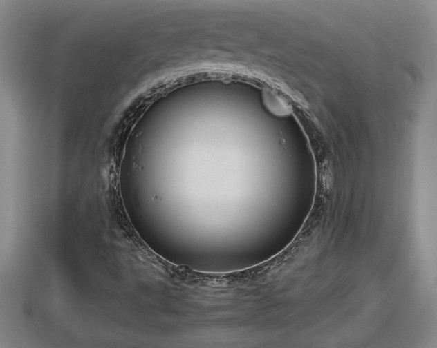 X0000112791495200908281455