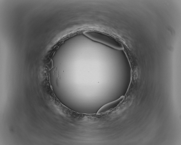 X0000112791496200908281455