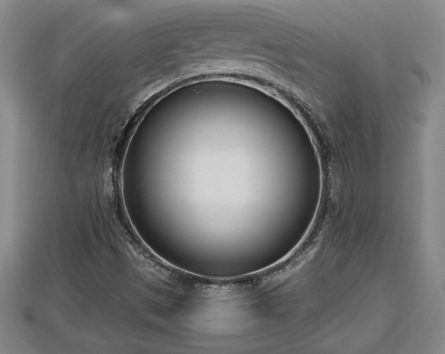 X0000112791497200908281455