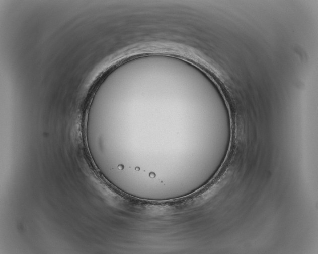 X0000112791498200908281455