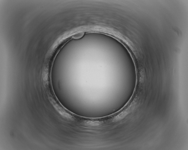 X0000112791499200908281455