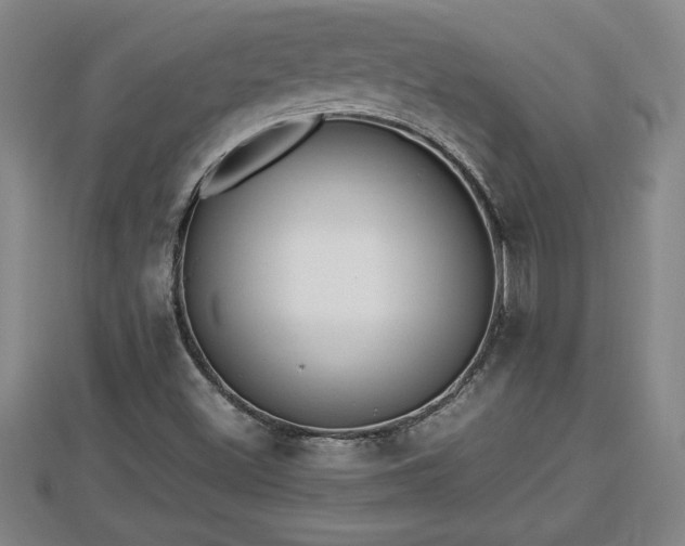 X0000112791500200908281455