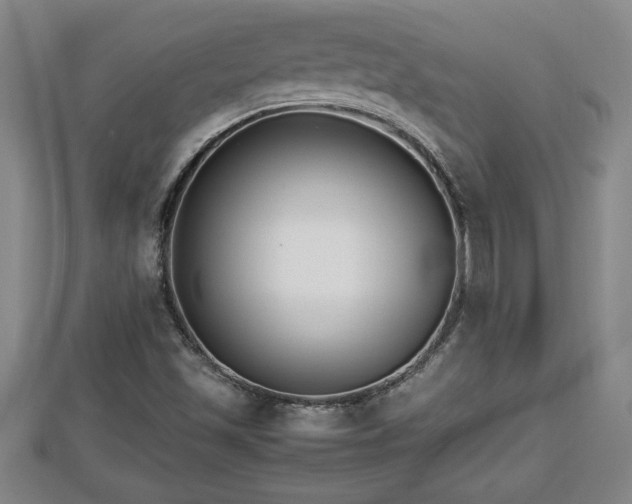 X0000112791501200908281455