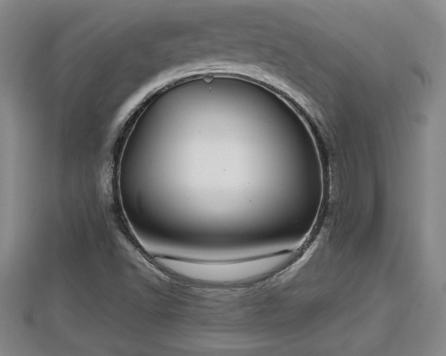 X0000112791502200908281455