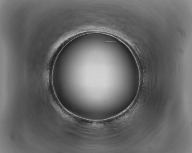 X0000112791503200908281455