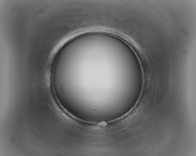 X0000112791504200908281455