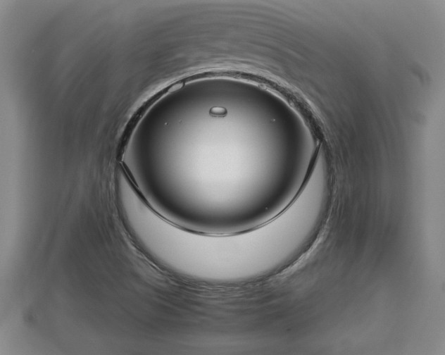 X0000112791505200908281455