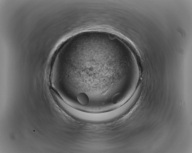 X0000112791506200908281455