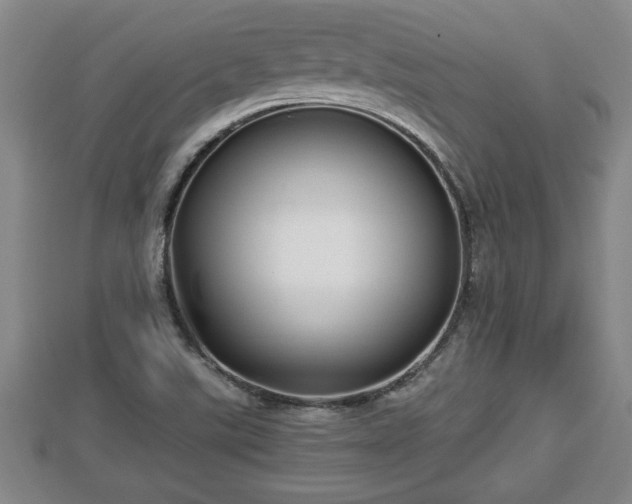 X0000112791507200908281455