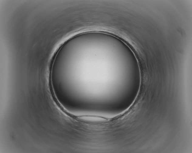 X0000112791508200908281455