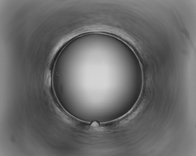 X0000112791509200908281455