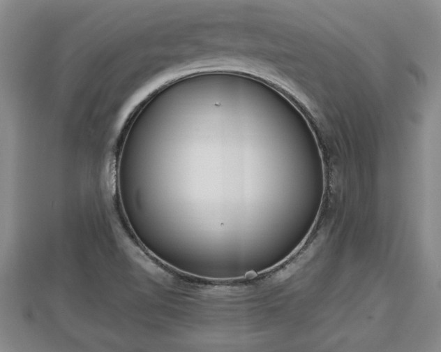 X0000112791510200908281455