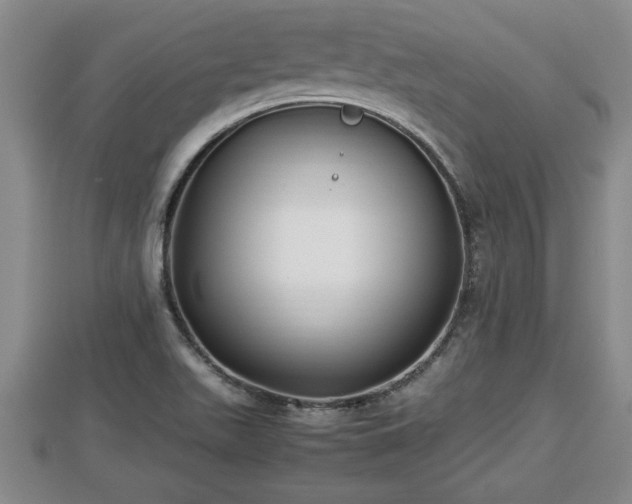 X0000112791511200908281455