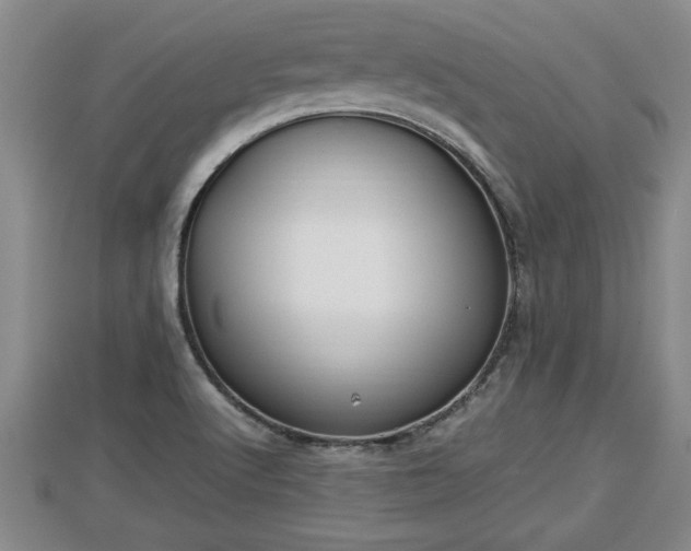 X0000112791512200908281455