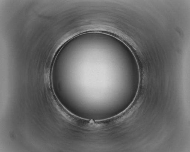 X0000112791513200908281455