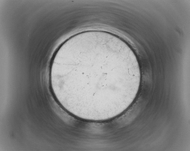 X0000112791514200908281455