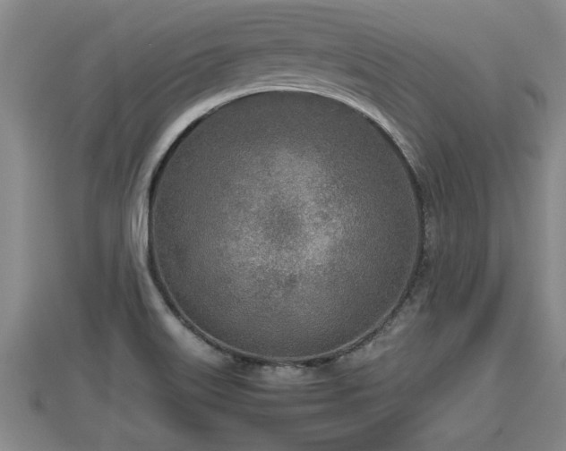 X0000112791515200908281455