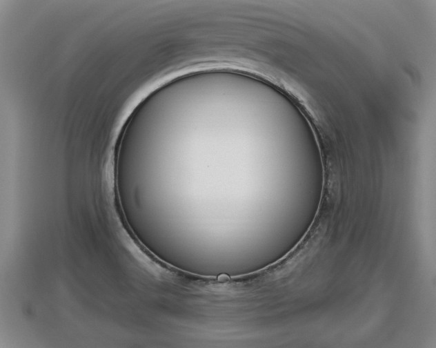 X0000112791516200908281455