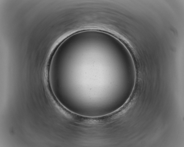 X0000112791517200908281455