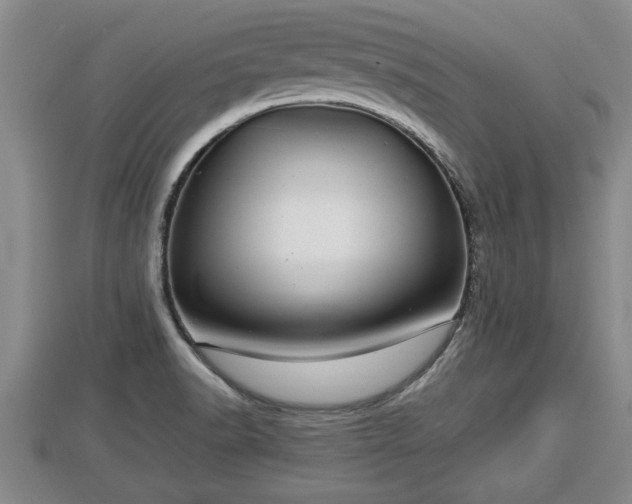 X0000112791518200908281455