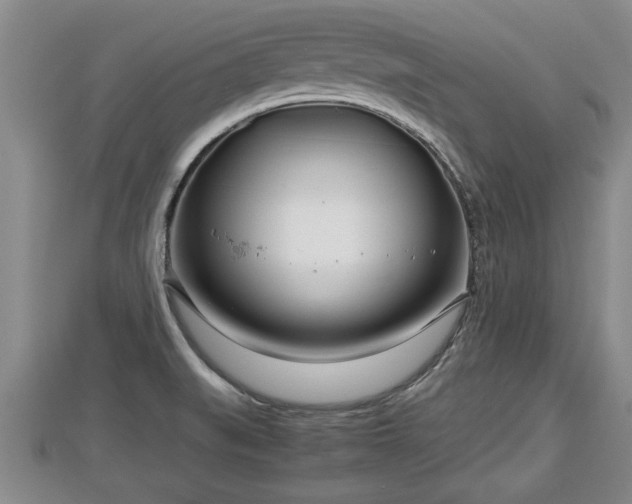 X0000112791519200908281455