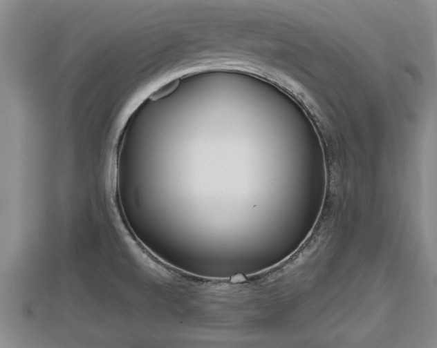 X0000112791520200908281455