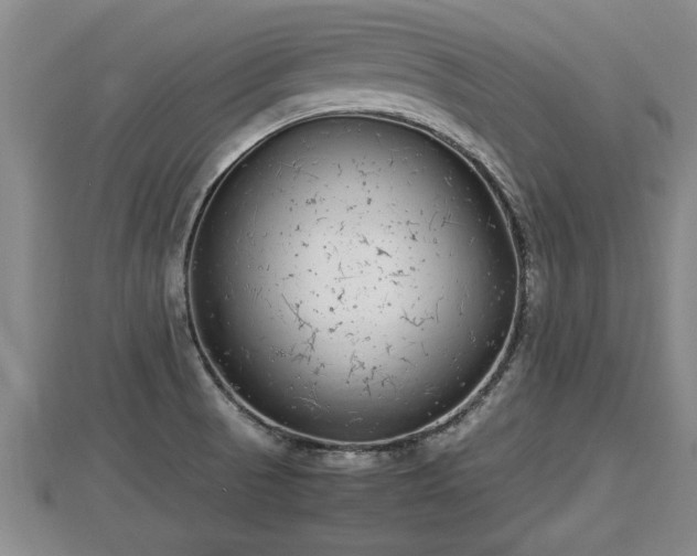 X0000112791521200908281455