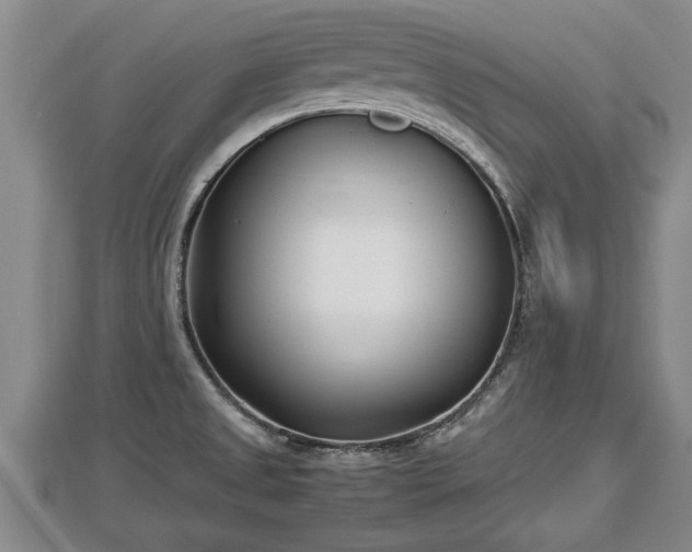 X0000112791525200908281455