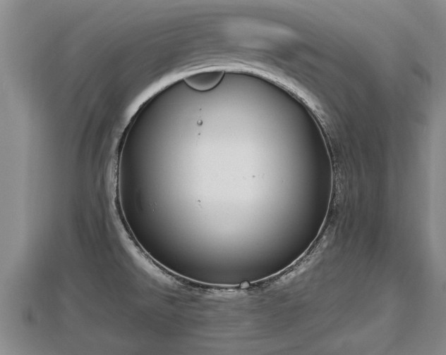 X0000112791526200908281455