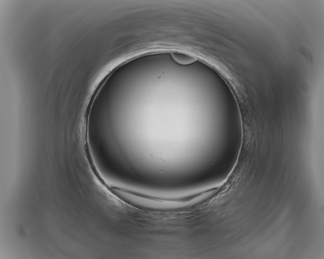 X0000112791527200908281455