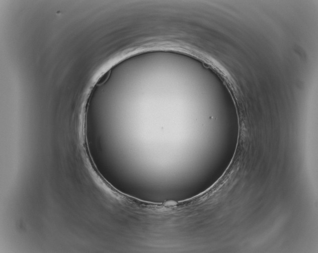 X0000112791528200908281455