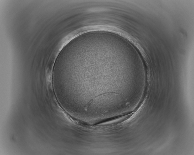 X0000112791529200908281455