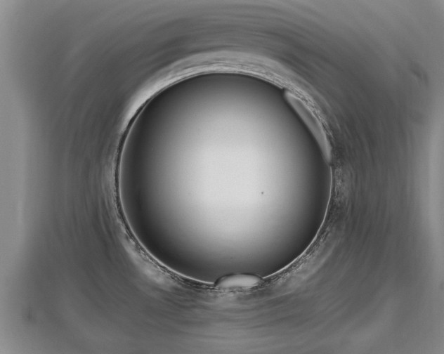 X0000112791530200908281455