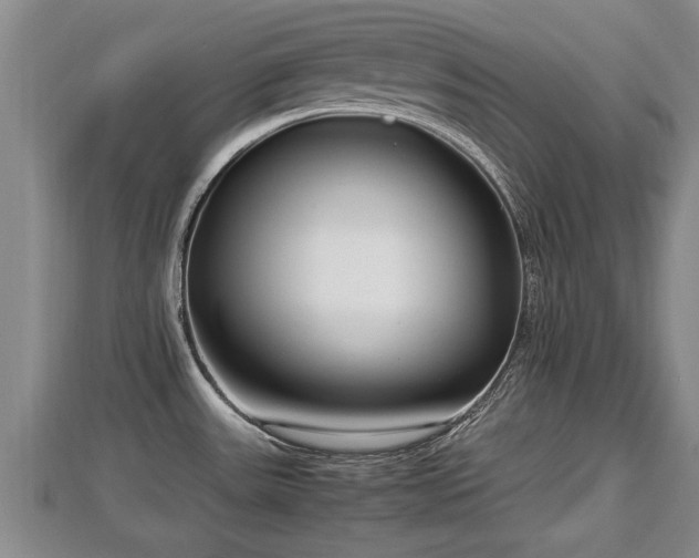 X0000112791531200908281455