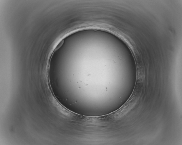 X0000112791532200908281455