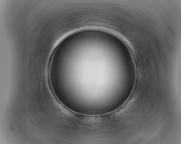 X0000112791533200908281455