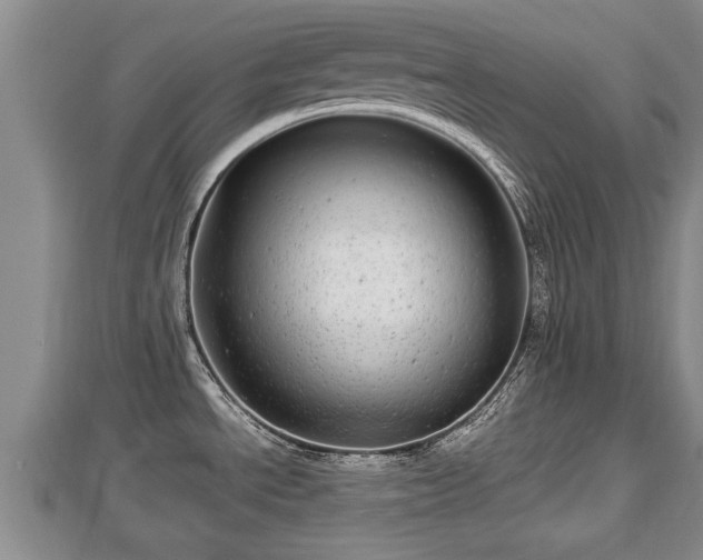 X0000112791534200908281455