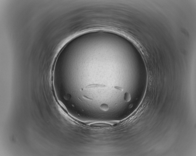 X0000112791535200908281455