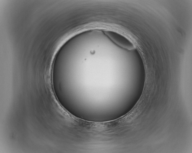 X0000112791536200908281456