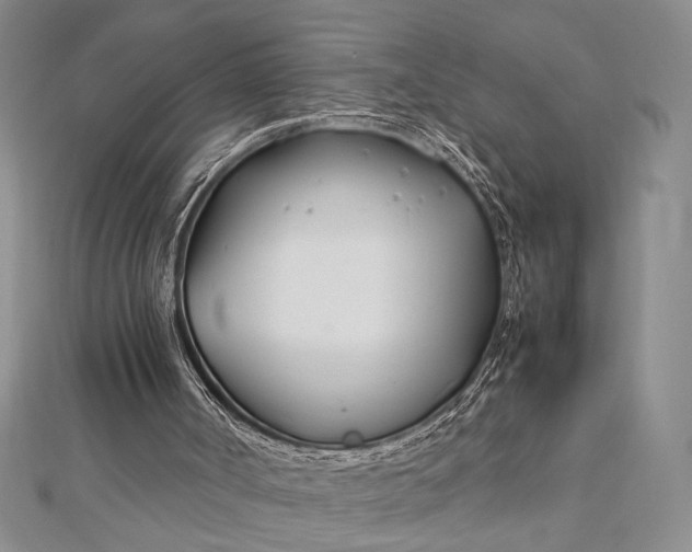 X0000112790002200909041421