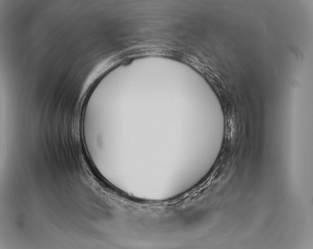 X0000112790004200909041421