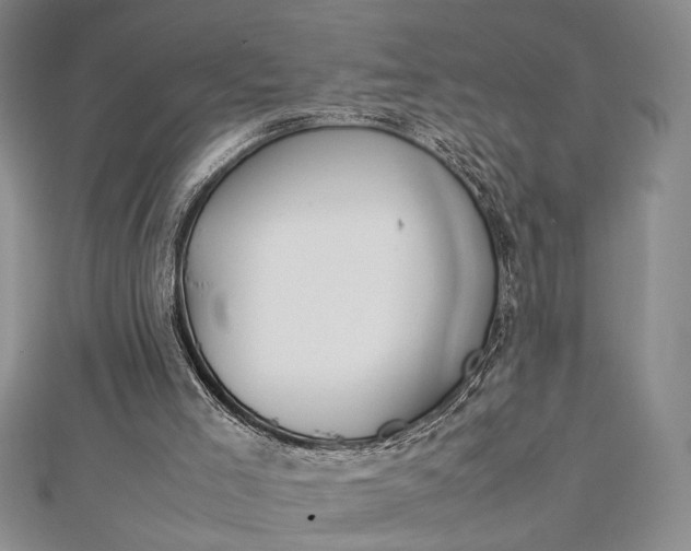 X0000112790005200909041421