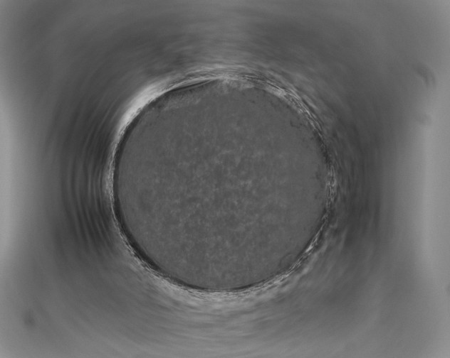 X0000112790006200909041421