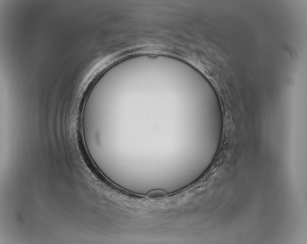 X0000112790007200909041421