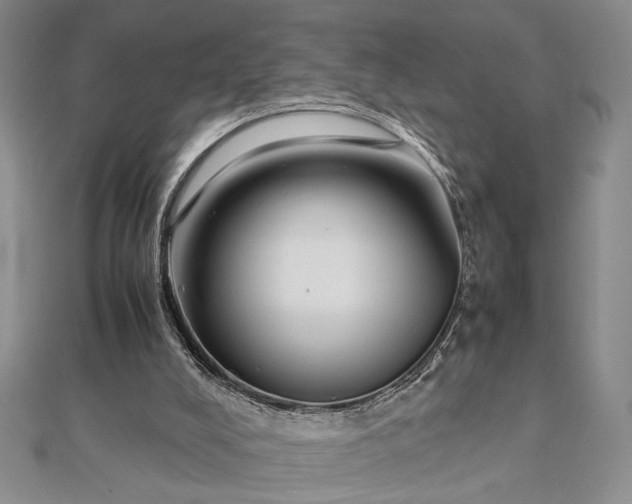 X0000112790008200909041421