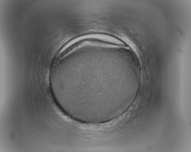 X0000112790009200909041421