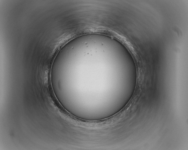 X0000112790010200909041421